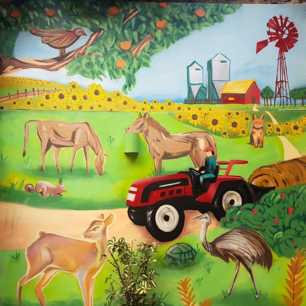 decoracion jardin graffiti